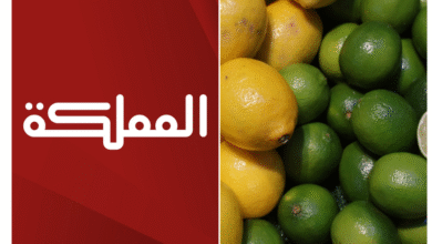 Copy of Lovin Baghdad Featured Image Template 2