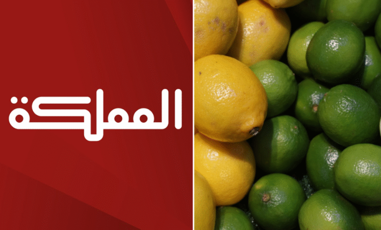 قناة المملكة تحذف مقابلة الغزاوي وسط صمت رسمي وغياب الشفافية Copy of Lovin Baghdad Featured Image Template 2