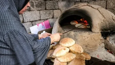 palestine pain