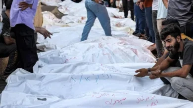 الشهداء في غزة 1