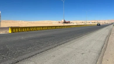 الصحراوي 2