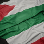 6a119dad784a7