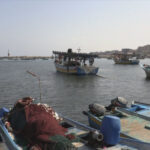 6a2508408a5c9