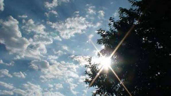 images (7)