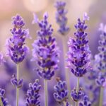 صور الموقع الالكتروني - 58