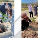يرجى عدم اجراء اي تعديل على القالب ....تصميم موقع مع خلفية - الشعار الجديد موقع