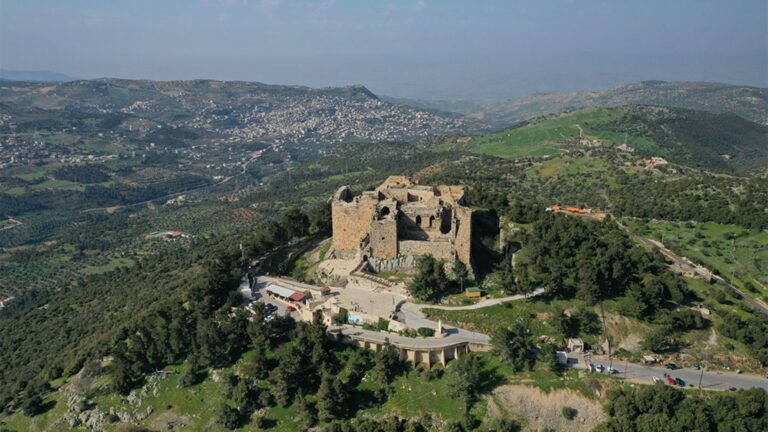 صور الموقع الالكتروني - 1