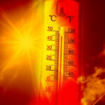 images (5)