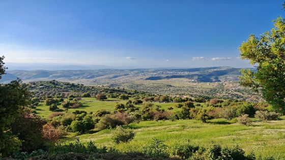 IMG_9789