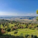 images (10)