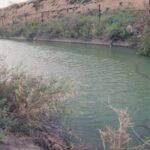 images (7)