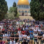 صور الموقع الالكتروني - 1