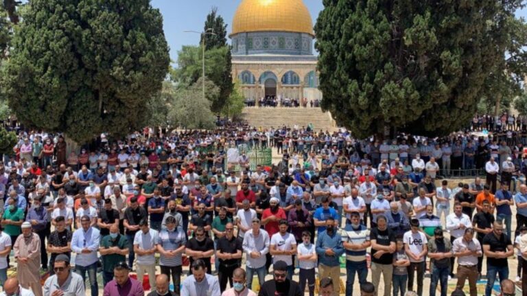 صور الموقع الالكتروني - 1