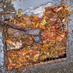 IMG_1735